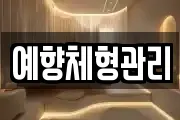 예향체형관리