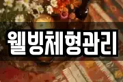 웰빙체형관리