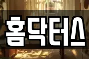 홈닥터스