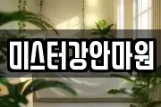 미스터강안마원