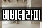 비비테라피