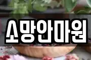 소망안마원