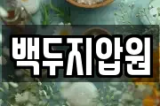 백두지압원