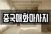 중국매화마사지