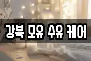서울 강북구 우이동 마사지, 지압등 업체정보