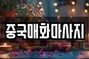 중국매화마사지