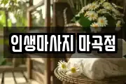 인생마사지 마곡점