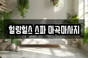 힐링힐스 스파 마곡마사지