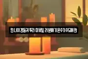 린나이경동귀뚜라미보일러분배기온수기수도배관