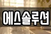 에스솔루션