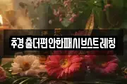 추경출더편안한패시브스트레칭