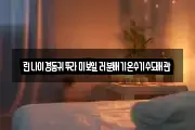 린나이경동귀뚜라미보일러분배기온수기수도배관