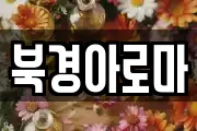 북경아로마