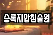 승록지압침술원
