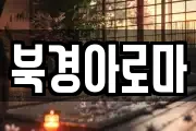 북경아로마