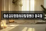 서울 강서구 외발산동 마사지, 지압등 업체정보