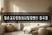 서울 강서구 마사지, 지압등 업체정보
