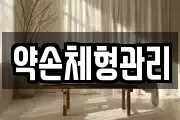 약손체형관리