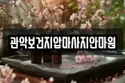 서울 마사지, 지압등 업체정보