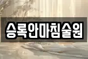 승록안마침술원