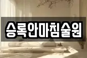 승록안마침술원