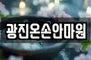 광진온손안마원
