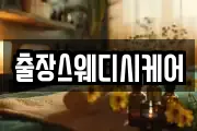 출장스웨디시케어