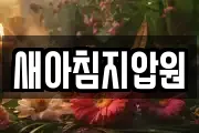 새아침지압원
