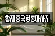 황제중국정통마사지