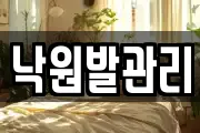낙원발관리