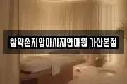 참약손지압마사지안마원 가산본점