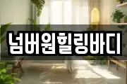 넘버원힐링바디