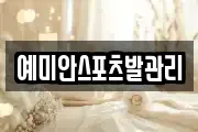 예미안스포츠발관리
