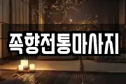 서울 구로구 신도림동 마사지, 지압등 업체정보