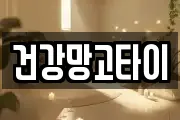 건강망고타이