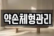 약손체형관리