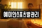 예미안스포츠발관리