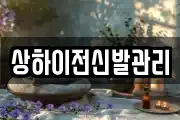 상하이전신발관리
