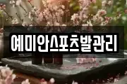예미안스포츠발관리