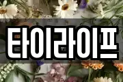 타이라이프