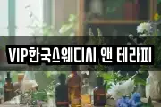 VIP한국스웨디시 앤 테라피