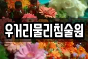 우거리물리침술원