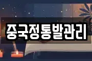 중국정통발관리