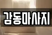 서울 도봉구 마사지, 지압등 업체정보