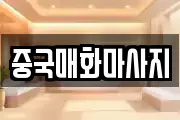 중국매화마사지
