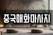 중국매화마사지