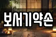 보서기약손