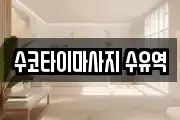 수코타이마사지 수유역