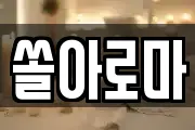 쏠아로마