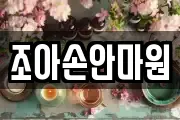 조아손안마원